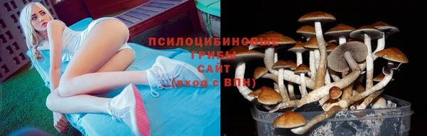 трава Белоозёрский