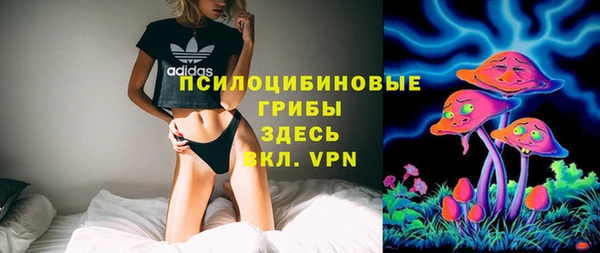 трава Беломорск