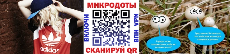 Псилоцибиновые грибы мухоморы  купить наркотики цена  Надым 