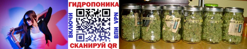 нарко площадка формула  Надым  Марихуана OG Kush 